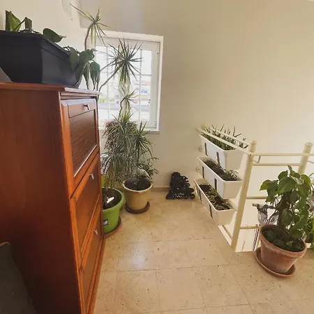 Cosmos Retreat Балеал