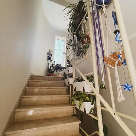 Cosmos Retreat Дом отдыха *