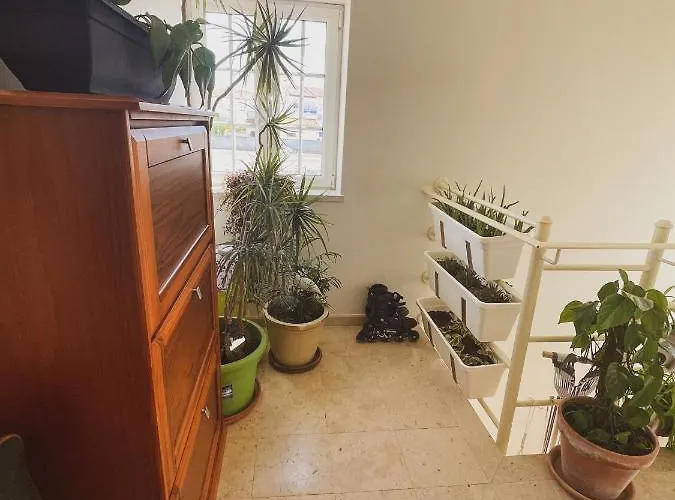 Cosmos Retreat Baleal