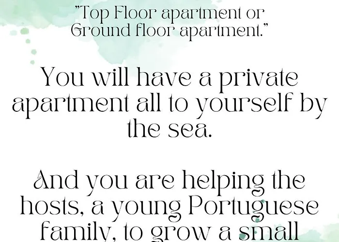 Cosmos Retreat Baleal